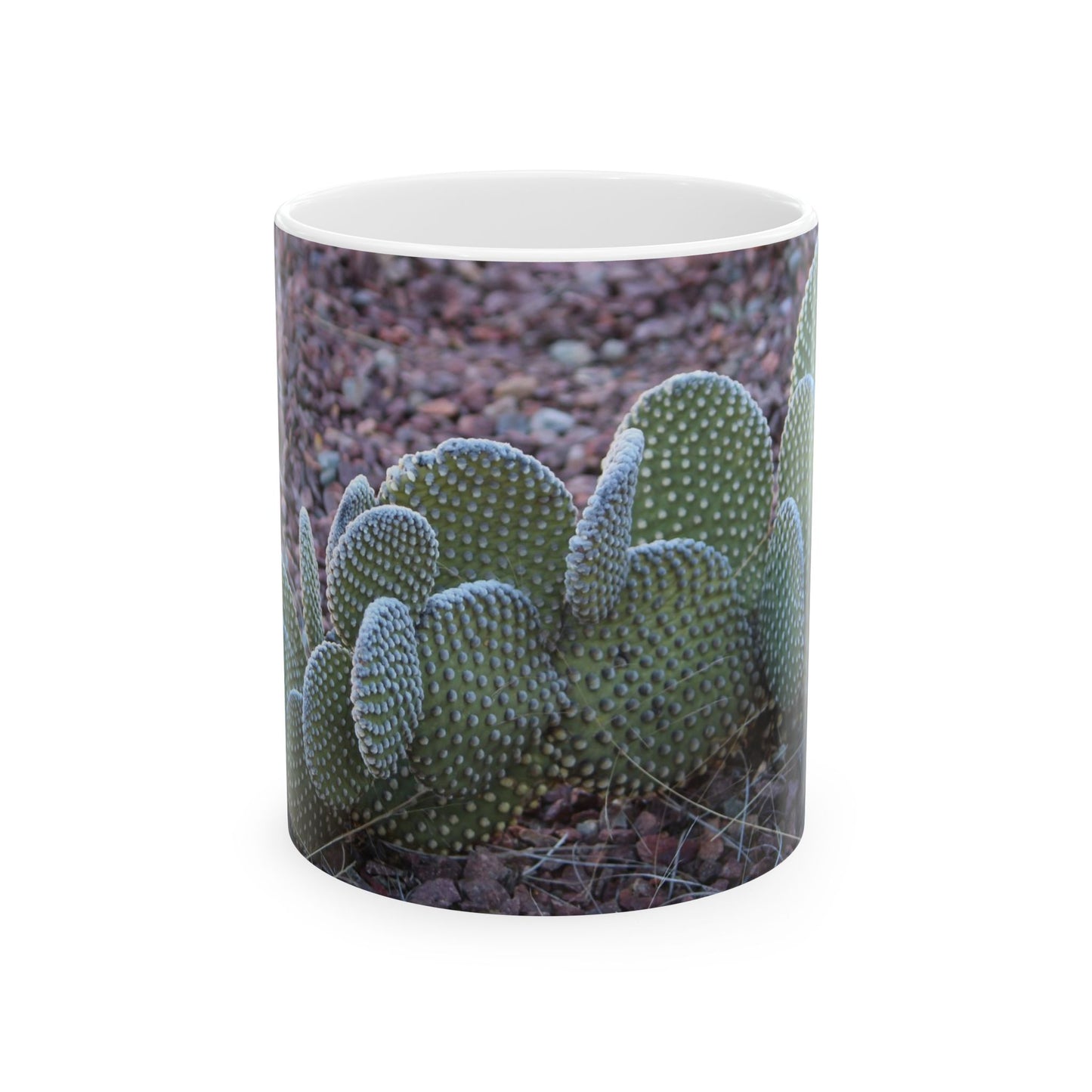 Desert Dreams Ceramic Mug style 4, 11oz