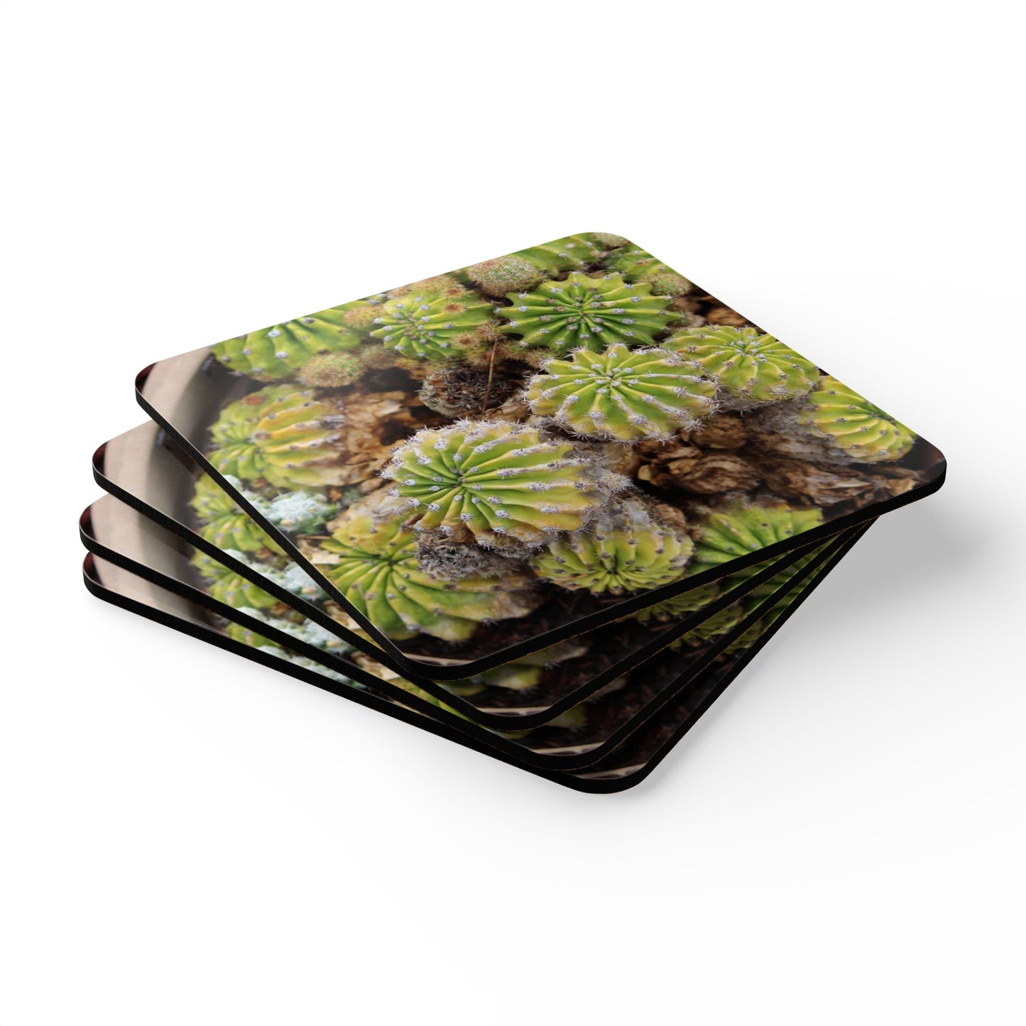 Desert Oasis Corkwood Coaster Set Style 1 (4 pc)