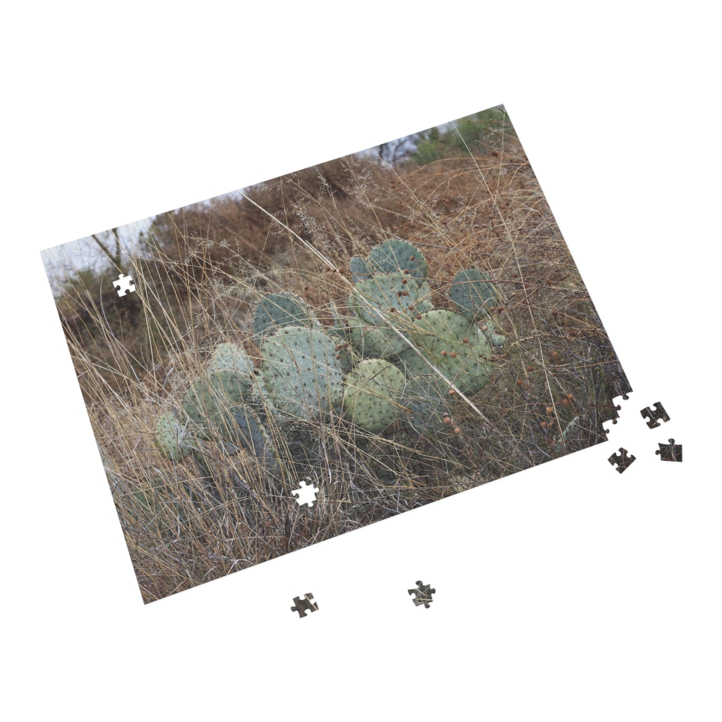 Sonoran Serenity  500-Piece Puzzle