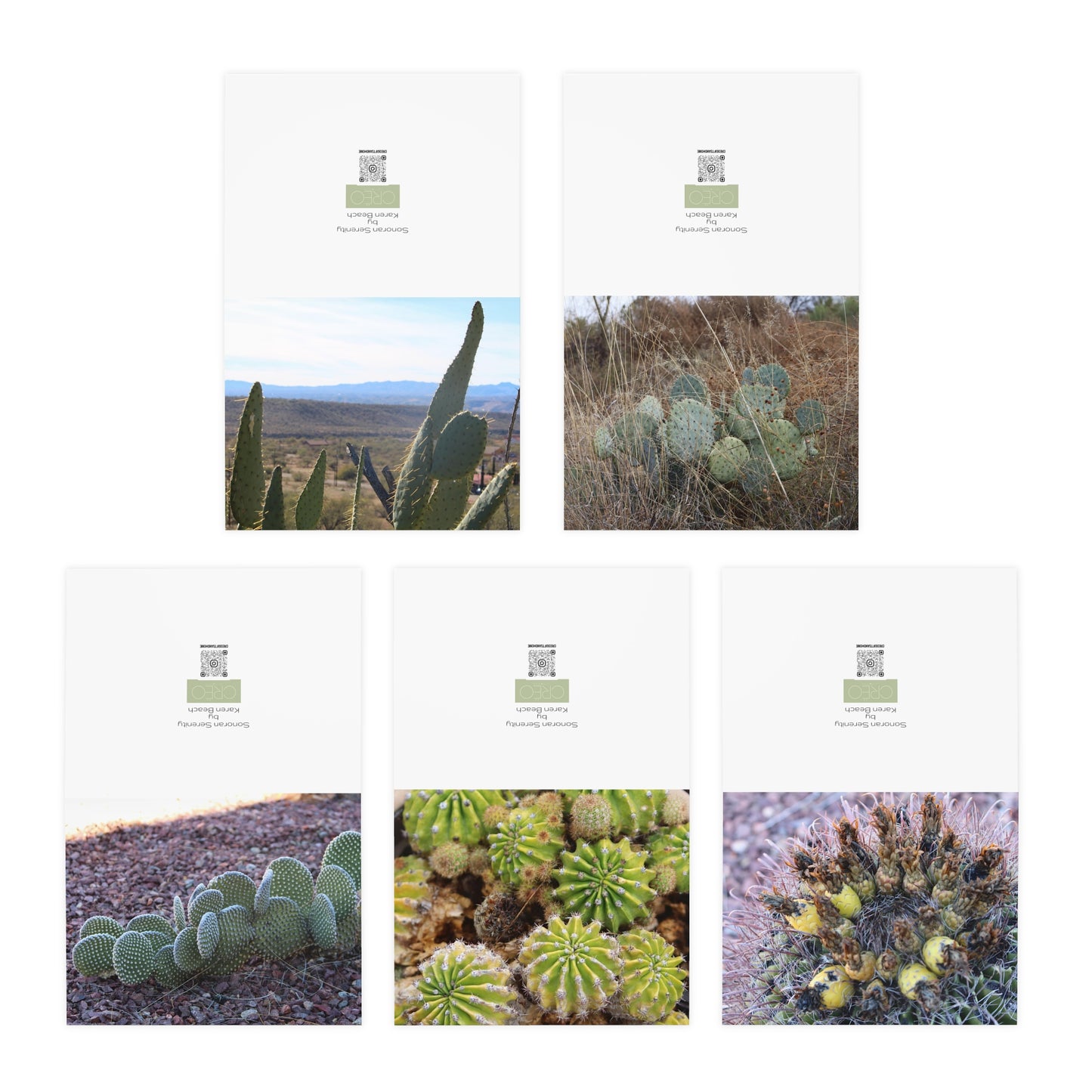 Sonoran Serenity Greeting Cards (5-Pack)