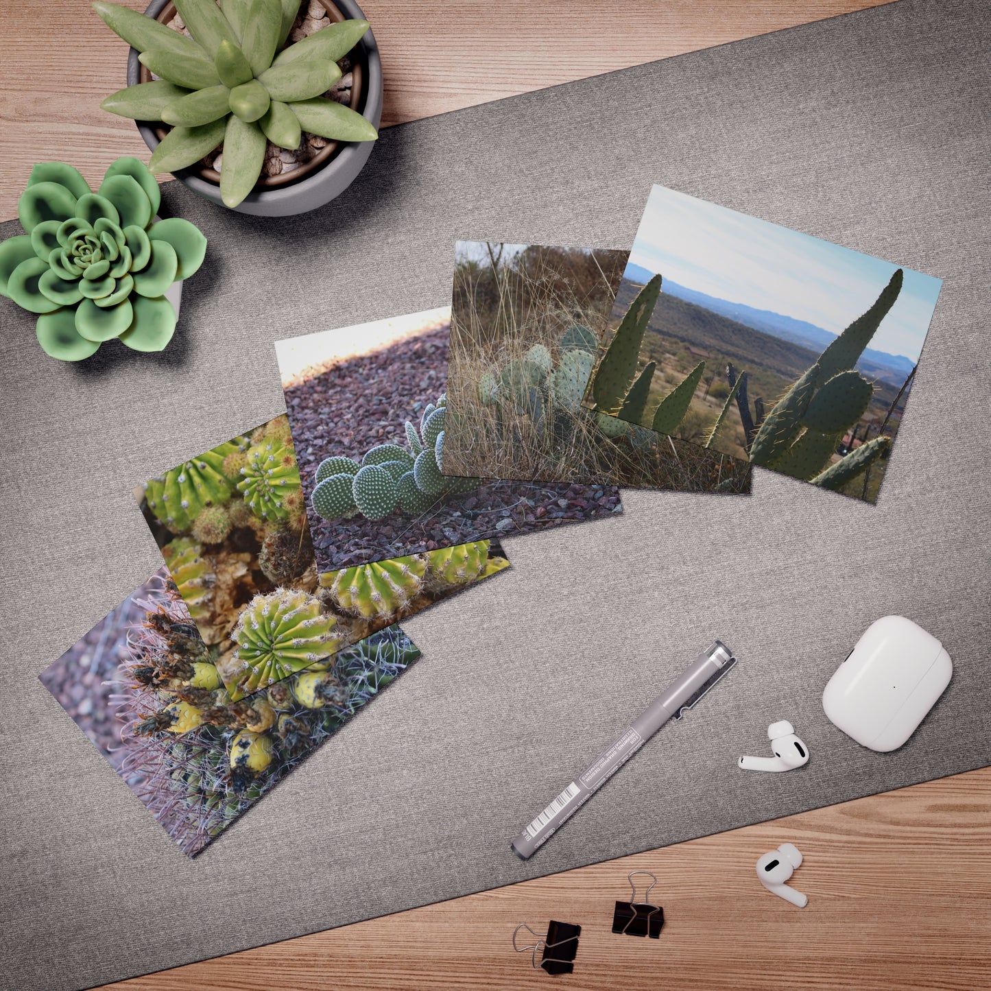 Sonoran Serenity Greeting Cards (5-Pack)